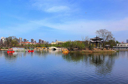 冰雨心理_上新了！临沂市又有3处口袋公园建成开放